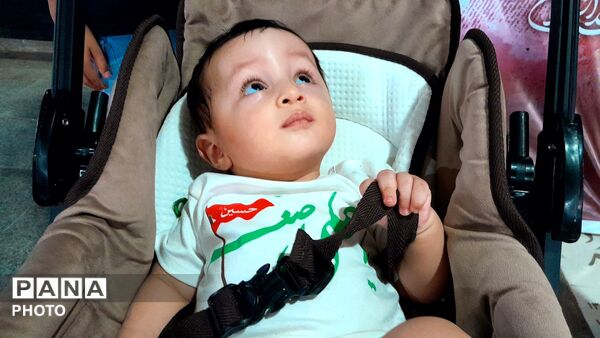 خونِ کوچک، فریادِ بزرگ؛ مراسم شیرخوارگان حسینی در ملارد