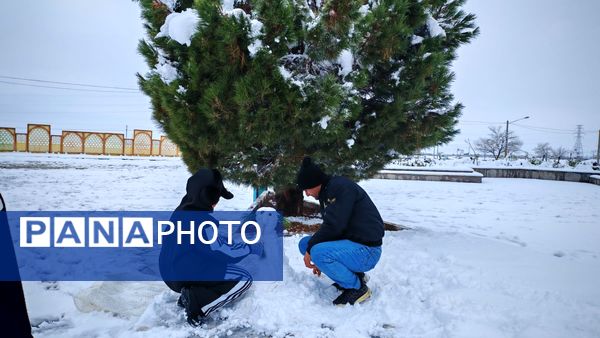 وقتی زمین زیر لحاف سفید برف به خواب میرود