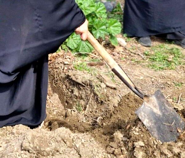 آیین کاشت نهال به نام شهدای دانش‌آموز میناب در کرج 