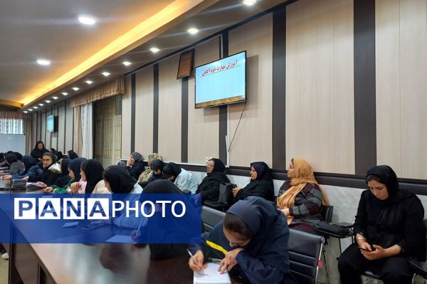 توانمندسازی همیار مشاوران مدارس ناحیه ۳ شیراز