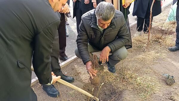 مراسم درخت‌کاری در زنجان