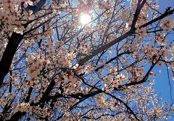میانکوه صفحه‌ای جدید را ورق زد