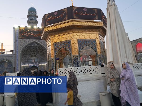 کبوتر حرم مشهد مقدس