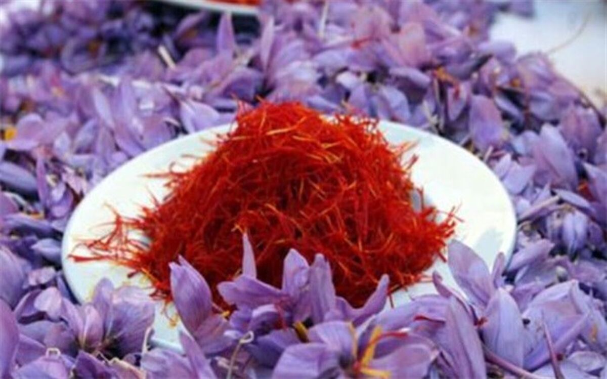 کارآفرینی جوان یزدی با کشت طلای قرمز