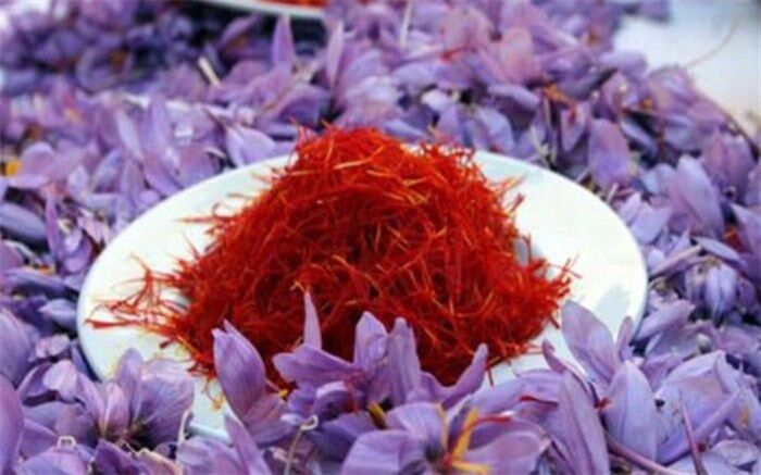 کارآفرینی جوان یزدی با کشت طلای قرمز