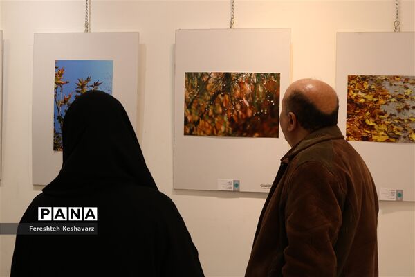 برگزاری نمایشگاه  عصر پاییزی در شیراز