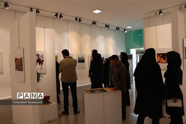 برگزاری نمایشگاه  عصر پاییزی در شیراز