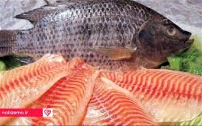 کارگاه آموزشی طبخ ماهی تیلاپیا در بافق برگزار شد