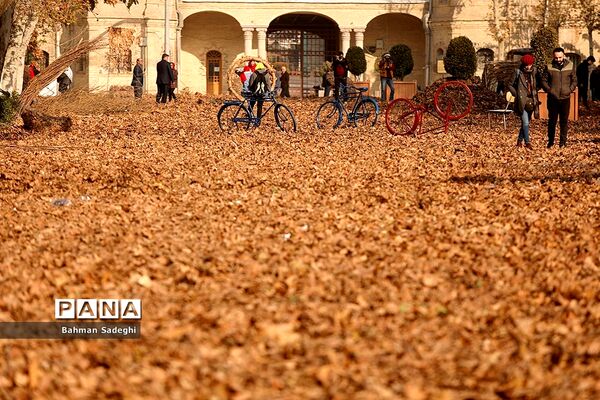 پاییز برگ در میدان مشق