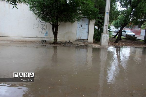 بارندگی امروز در بوشهر