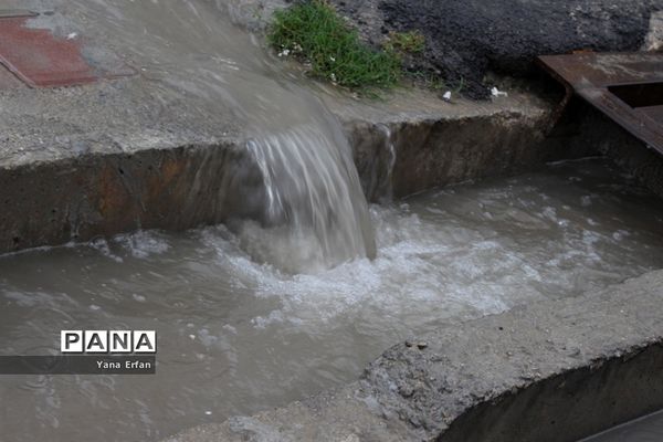 بارندگی امروز در بوشهر