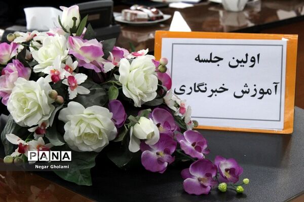 برگزاری کارگاه های آموزش خبرنگاری پانا