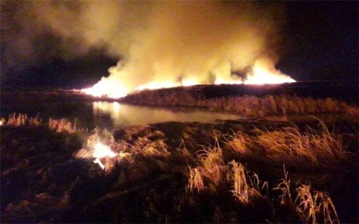 تالاب هامون در آتش سوخت