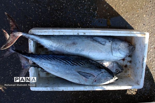 شهرستان کارون پس از باران