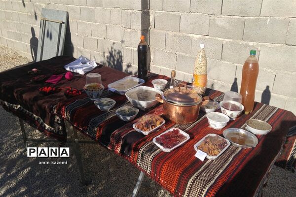 افتتاح مرکز یادگیری محلی شهدای ایلات خمسه اعراب عبدلی  در داراب