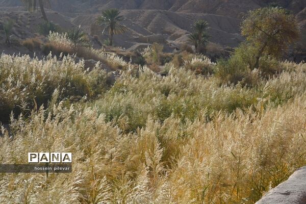 مکان‌های گردشگری روستای ازمیغان در شهرستان طبس