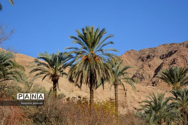 مکان‌های گردشگری روستای ازمیغان در شهرستان طبس