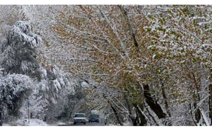 ۱۲۵ واحد مسکونی  رودسر در پی وزش باد شدید  تخریب شد