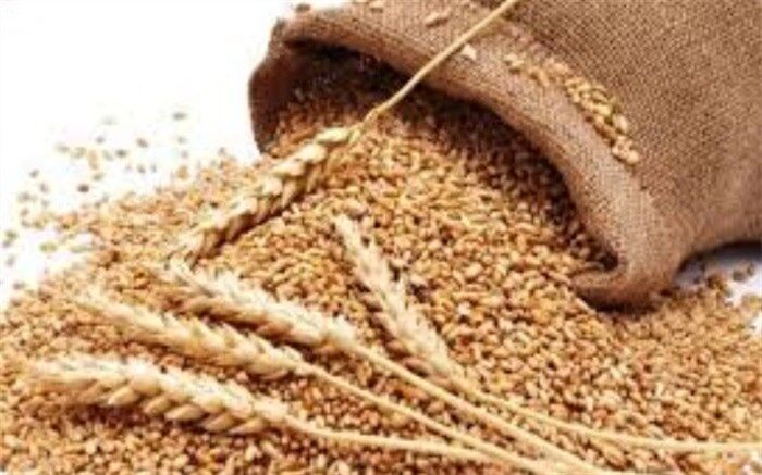رشد 65 درصدی پرداخت زکات در ابرکوه