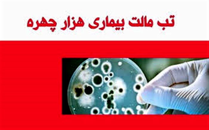 کاهش 50 درصدی مبتلایان به تب مالت در ابرکوه