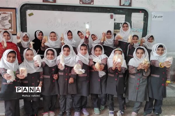 طرح لقمه مادرانه در مدارس آبادان