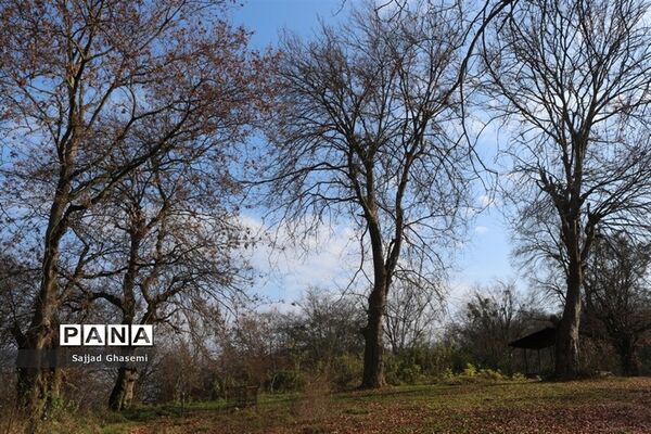 آیین کلنگ زنی احداث بنای جدید امام زاده چهارکوه شهرستان کردکوی