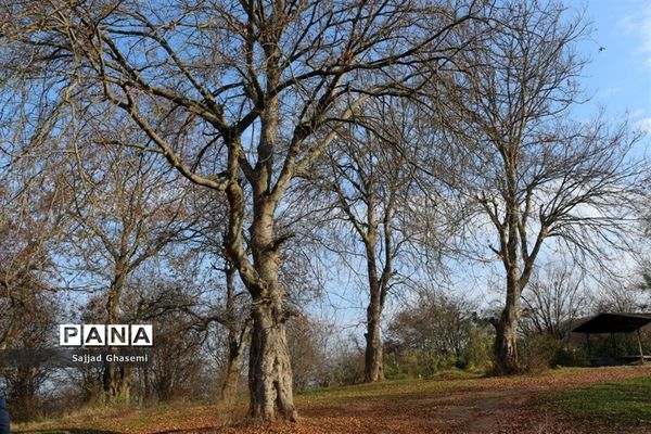 آیین کلنگ زنی احداث بنای جدید امام زاده چهارکوه شهرستان کردکوی