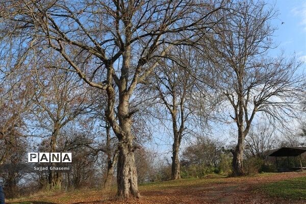 آیین کلنگ زنی احداث بنای جدید امام زاده چهارکوه شهرستان کردکوی