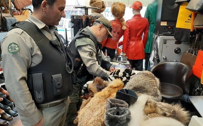 کشف و ضبط محصولات ساخته شده از پوست حیوانات وحشی در تهران + تصاویر