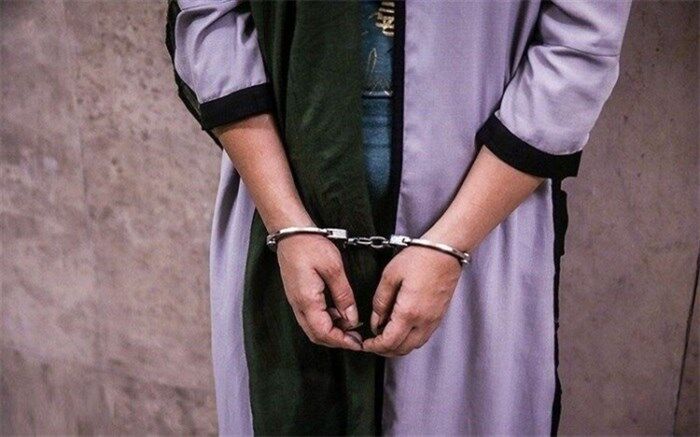 سرقت‌های سریالی دختر کمدین از مردان ثروتمند