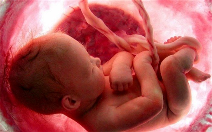 درمان سرخ ناباروری