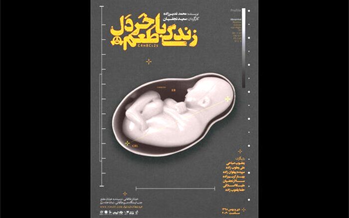 پوستر نمایش «زندگی با طعم خردل » رونمایی شد