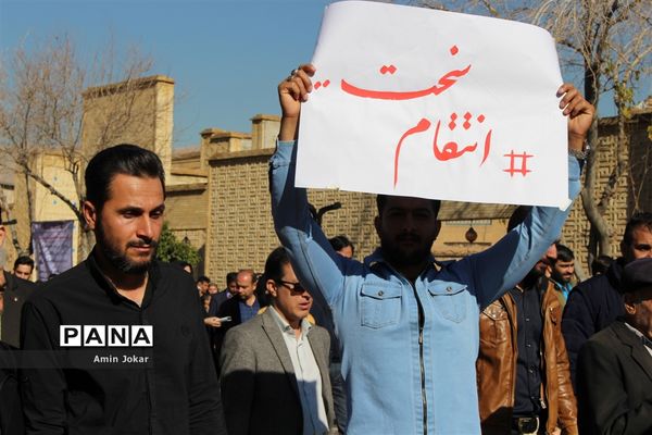 راهپیمایی مردم شیراز در مراسم بزرگداشت سردار شهید حاج قاسم سلیمانی