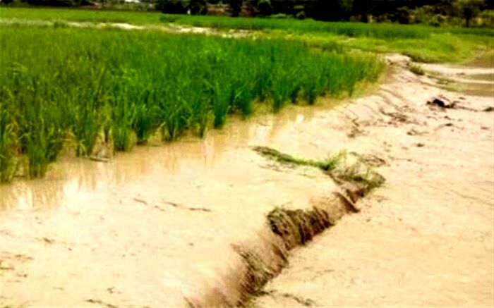 پرداخت خسارت بحران به کردستانی‌ها در چه شرایطی است