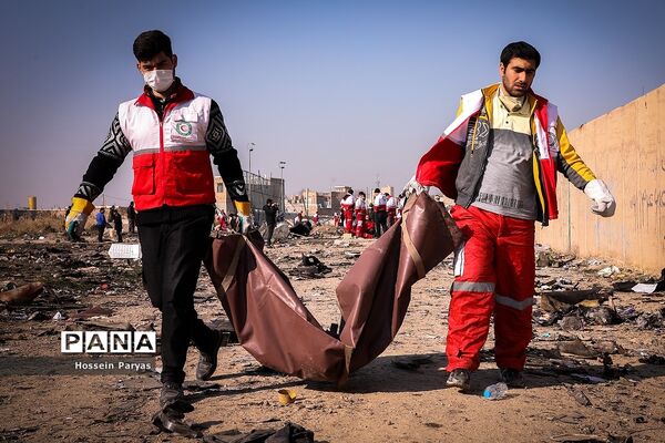 سقوط هواپیمای اوکراینی