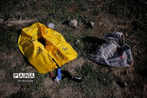 سقوط هواپیمای اوکراینی