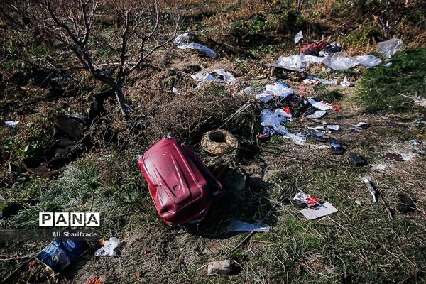 سقوط هواپیمای اوکراینی