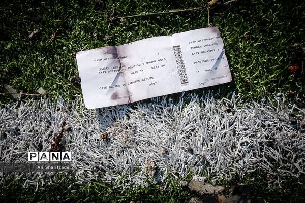 سقوط هواپیمای اوکراینی