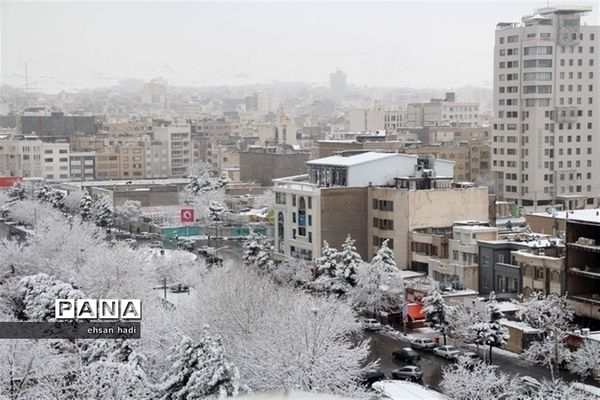 مشهد سفید پوش شد