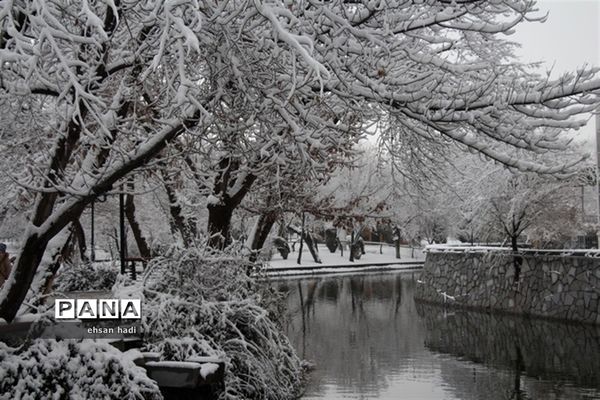 مشهد سفید پوش شد