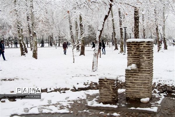 مشهد سفید پوش شد