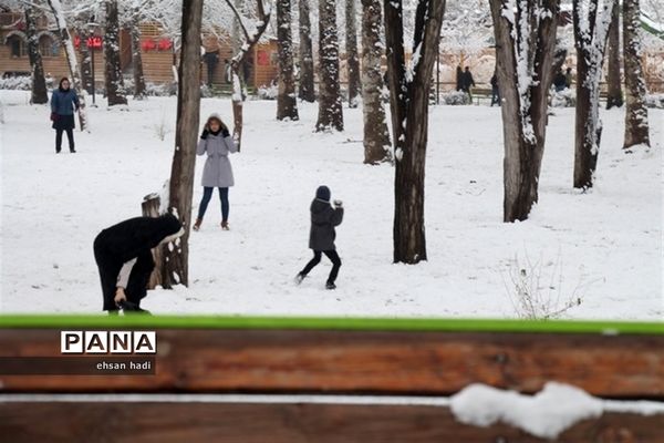 مشهد سفید پوش شد