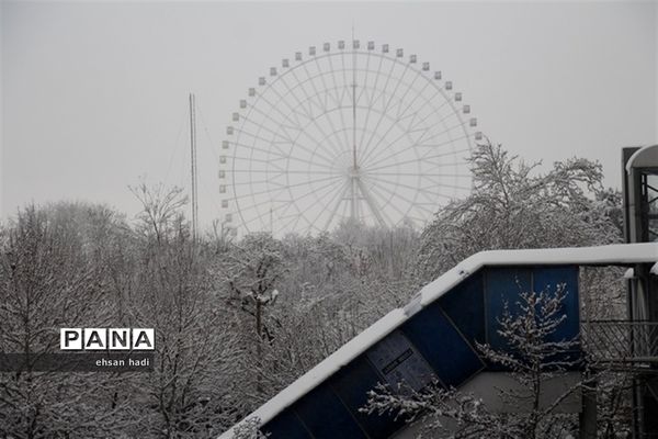 مشهد سفید پوش شد