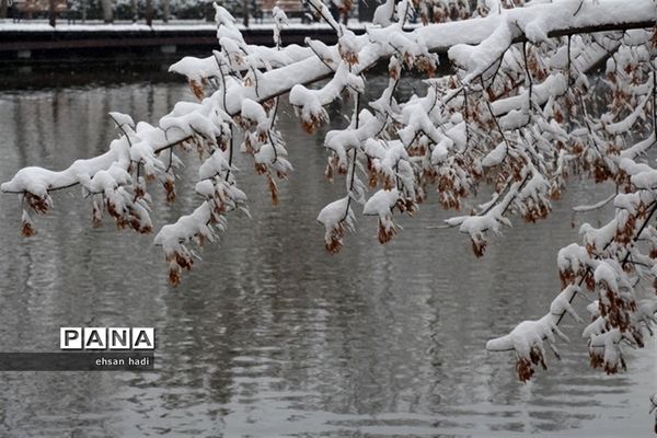 مشهد سفید پوش شد