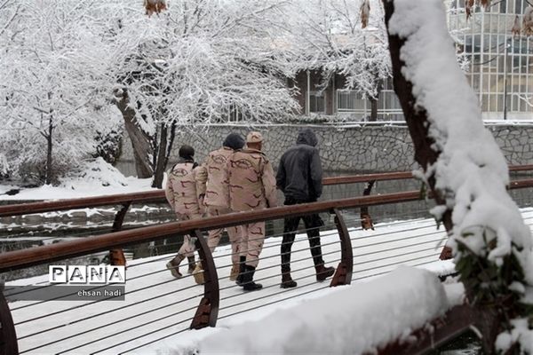 مشهد سفید پوش شد