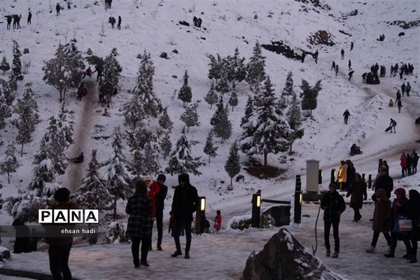 مشهد سفید پوش شد