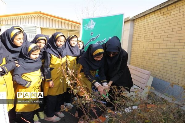 اجرای طرح مدرسه سبز در دبستان شاهد ٢ ملایر
