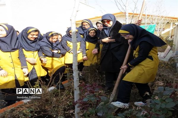 اجرای طرح مدرسه سبز در دبستان شاهد ٢ ملایر