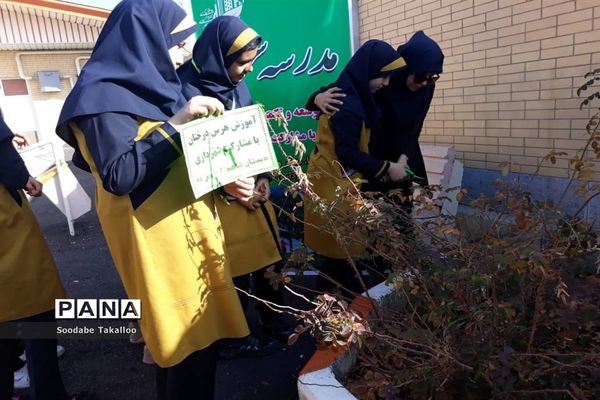 اجرای طرح مدرسه سبز در دبستان شاهد ٢ ملایر