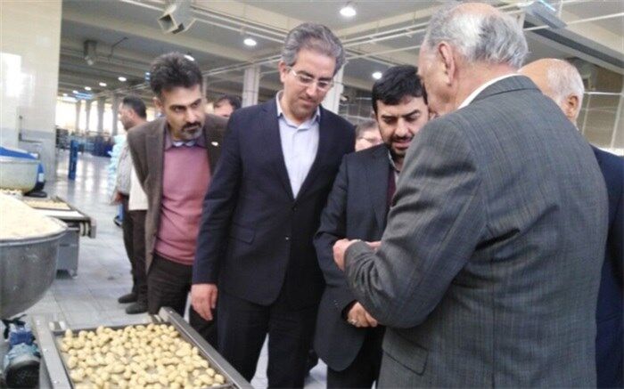 قائم مقام وزیر صنعت از سه واحد تولیدی در یزد بازدید کرد
